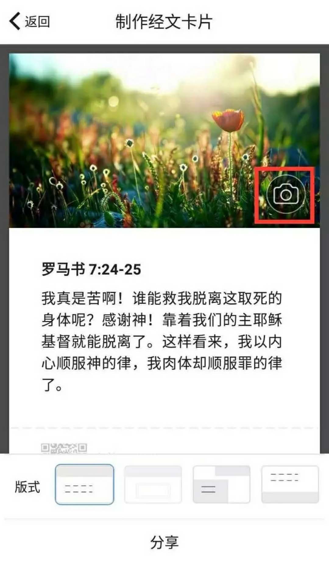 alt 1461d437a8e14b5e689276dfc027d940.jpeg