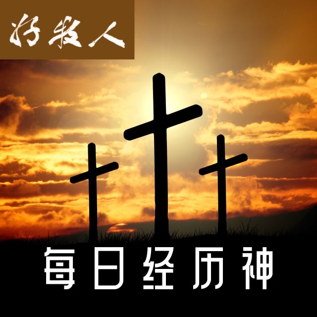 11月24日 - 每日经历神
