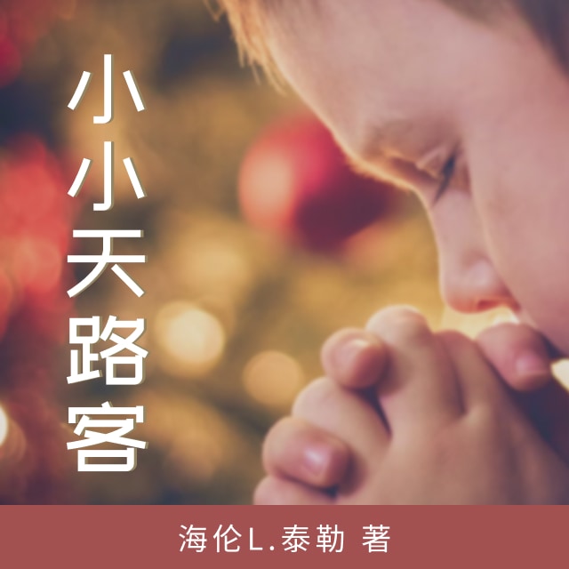25 蒙恩再遇传道人 - 小小天路客