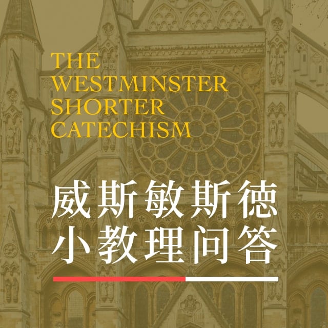 4. 上帝的护理 第11-12问 - 威斯敏斯德小教理问答